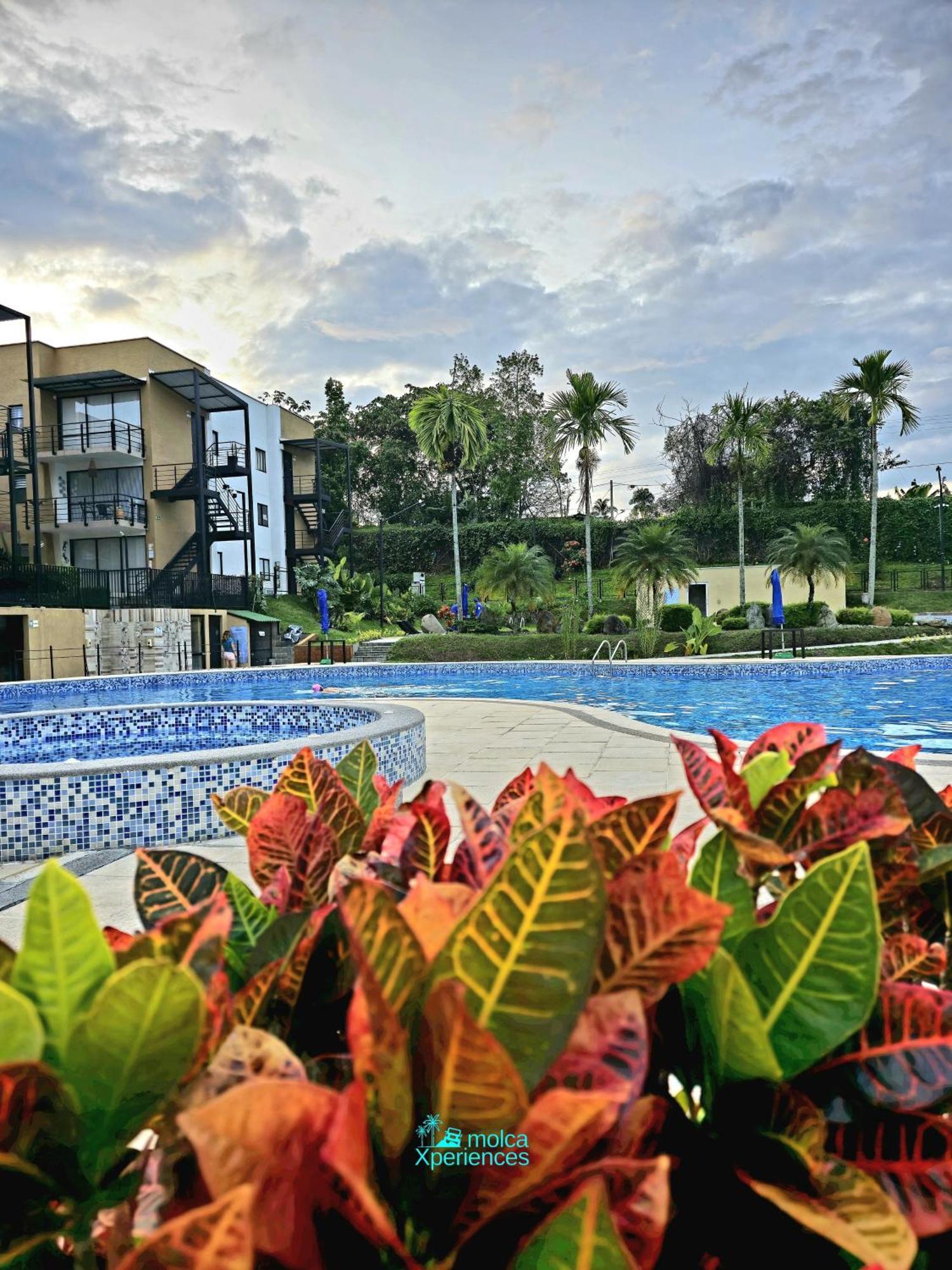 Apartamento Privado Vacacional A 5M Del Aeropuerto, 20 Minutos Del Parque Del Cafe Y Centro De Armenia Con 4 Piscinas, 3 Jacuzzi, Sauna By Molca Xperiences 2H Экстерьер фото